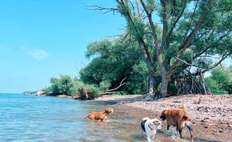 Bella S.'s photo of camping with pets at Golden Hill State Park Campground near Youngstown, NY