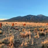 Review photo of Great Sand Dunes Dispersed by Jeanette P., July 5, 2023