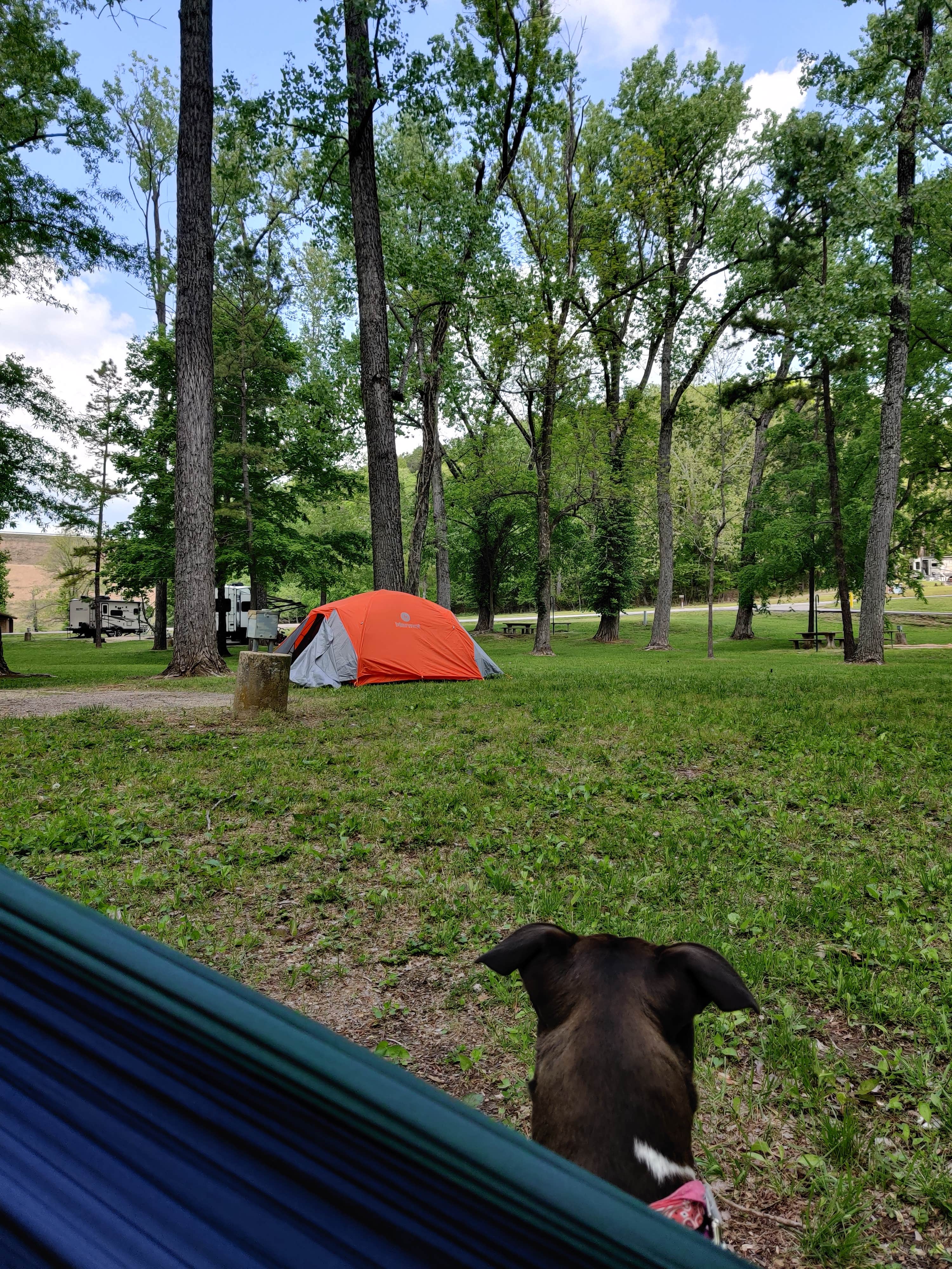 Camper submitted image from River Road Park - 3