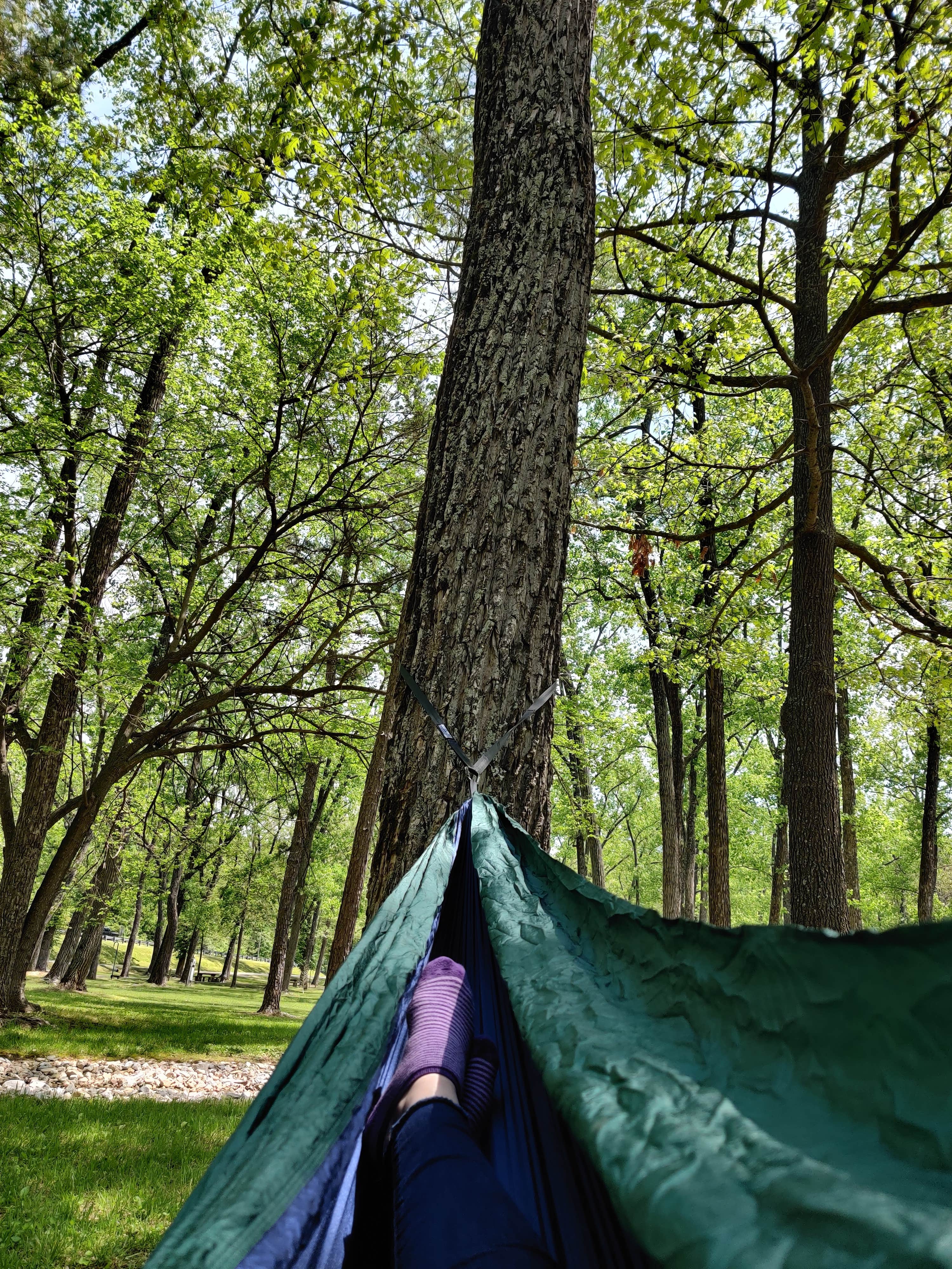 Camper-submitted photo at River Road Park near Piedmont, MO