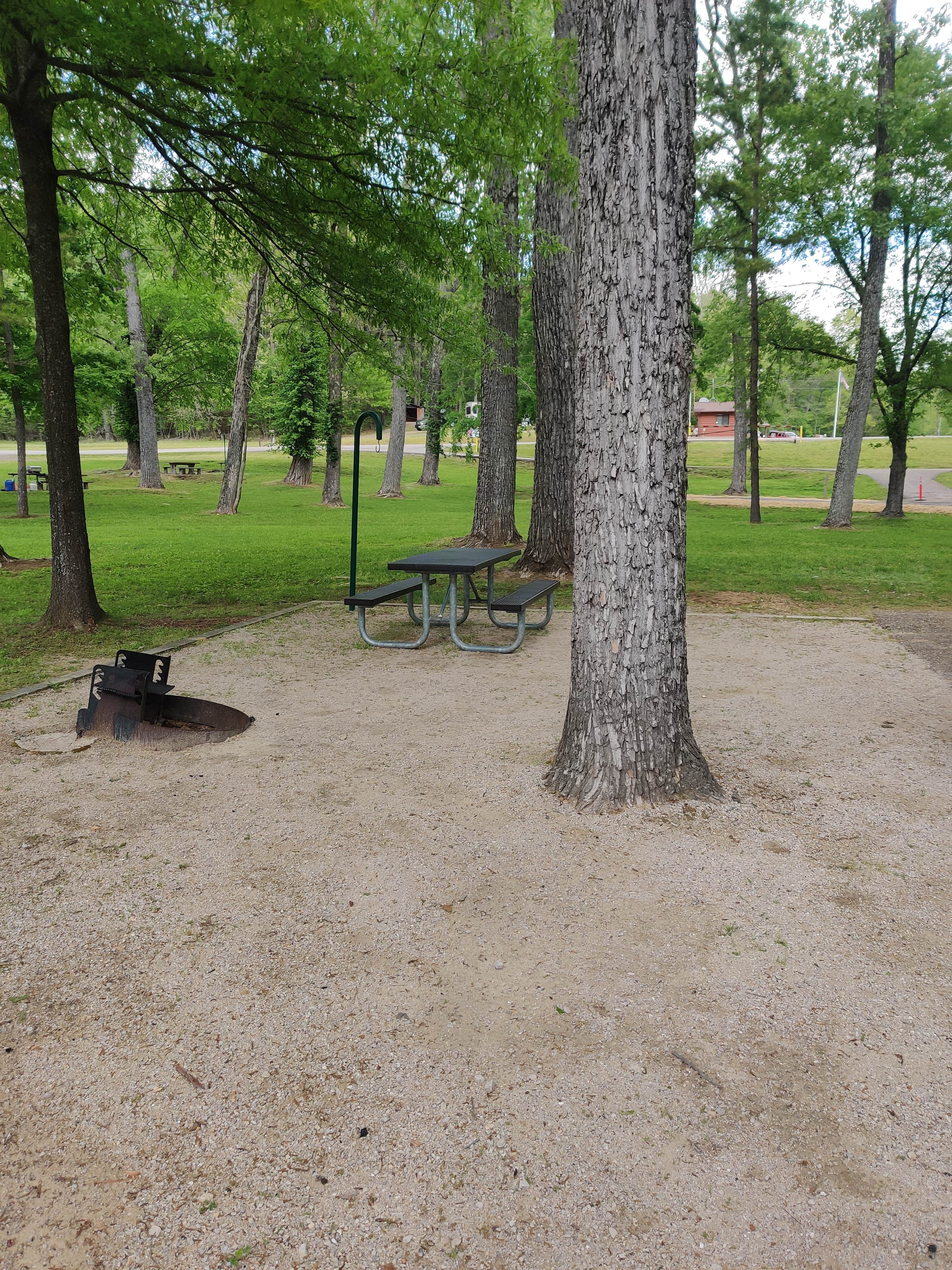 Camper-submitted photo at River Road Park near Piedmont, MO