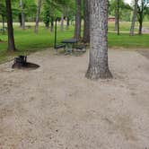 Review photo of River Road Park by Robin , July 5, 2023