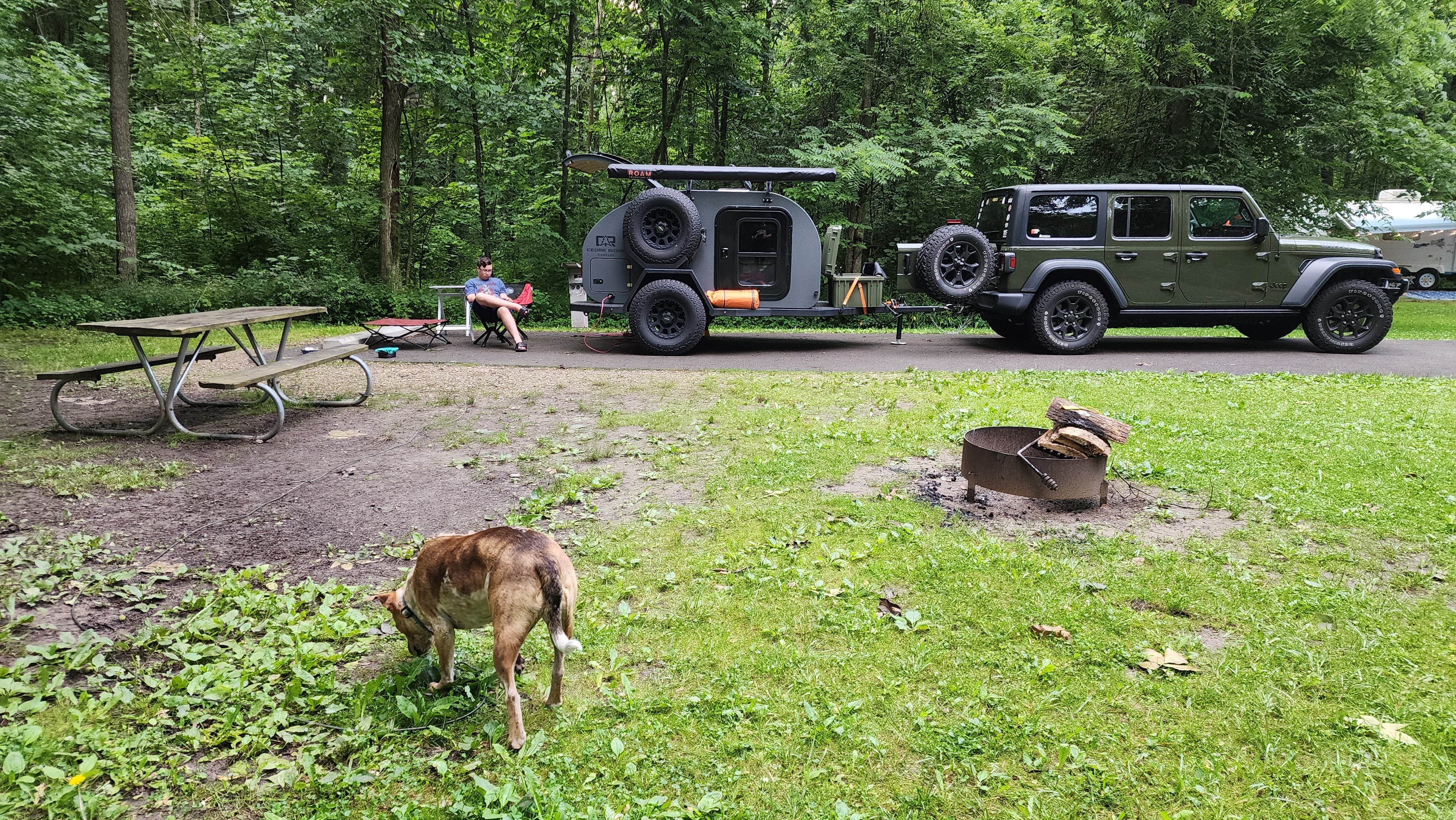 Jay B.'s photo of camping with pets at Delaware State Park Campground near Galena, OH