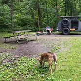 Review photo of Delaware State Park Campground by Jay B., July 5, 2023