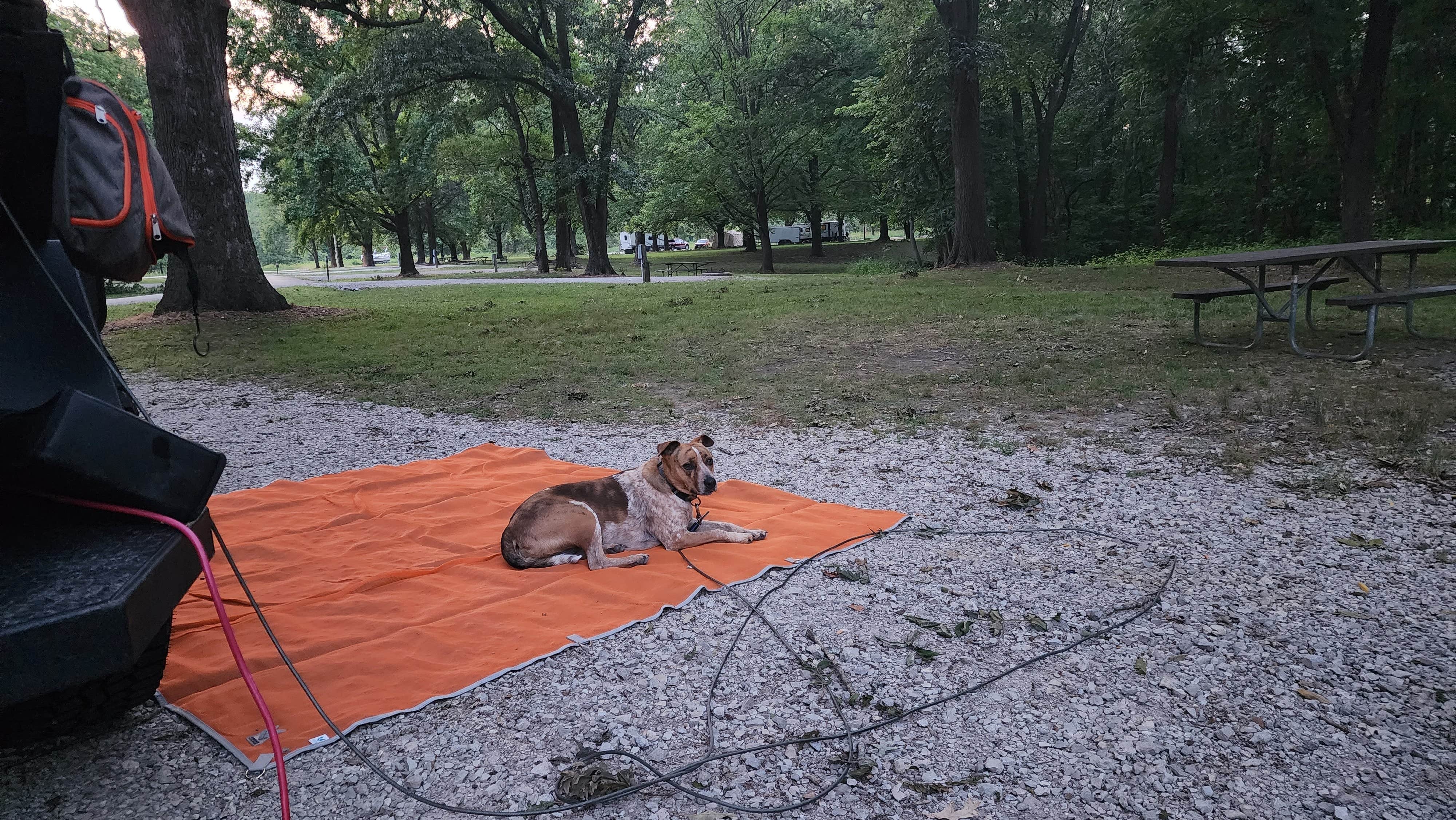 Jay B.'s photo at Illini Campground — Eldon Hazlet State Recreation Area near Belleville, IL