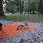 Review photo of Illini Campground — Eldon Hazlet State Recreation Area by Jay B., July 5, 2023