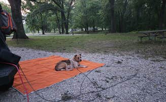 Jay B.'s photo at Illini Campground — Eldon Hazlet State Recreation Area near Collinsville, IL