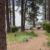 Review photo of Hawleys Landing Campground — Heyburn State Park by Nicole B., July 5, 2023