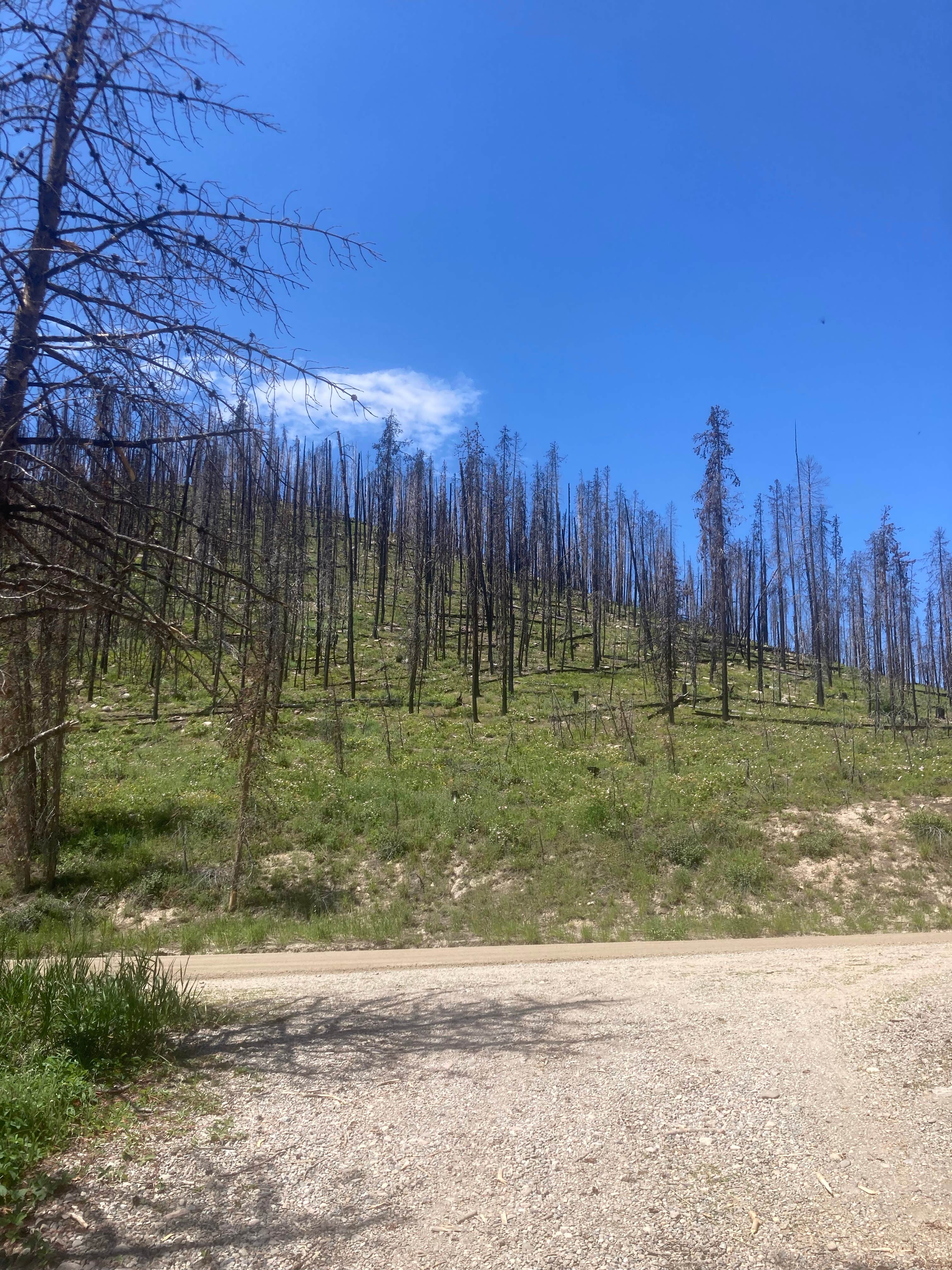 Camper-submitted photo at Stillwater Pass near Granby, CO