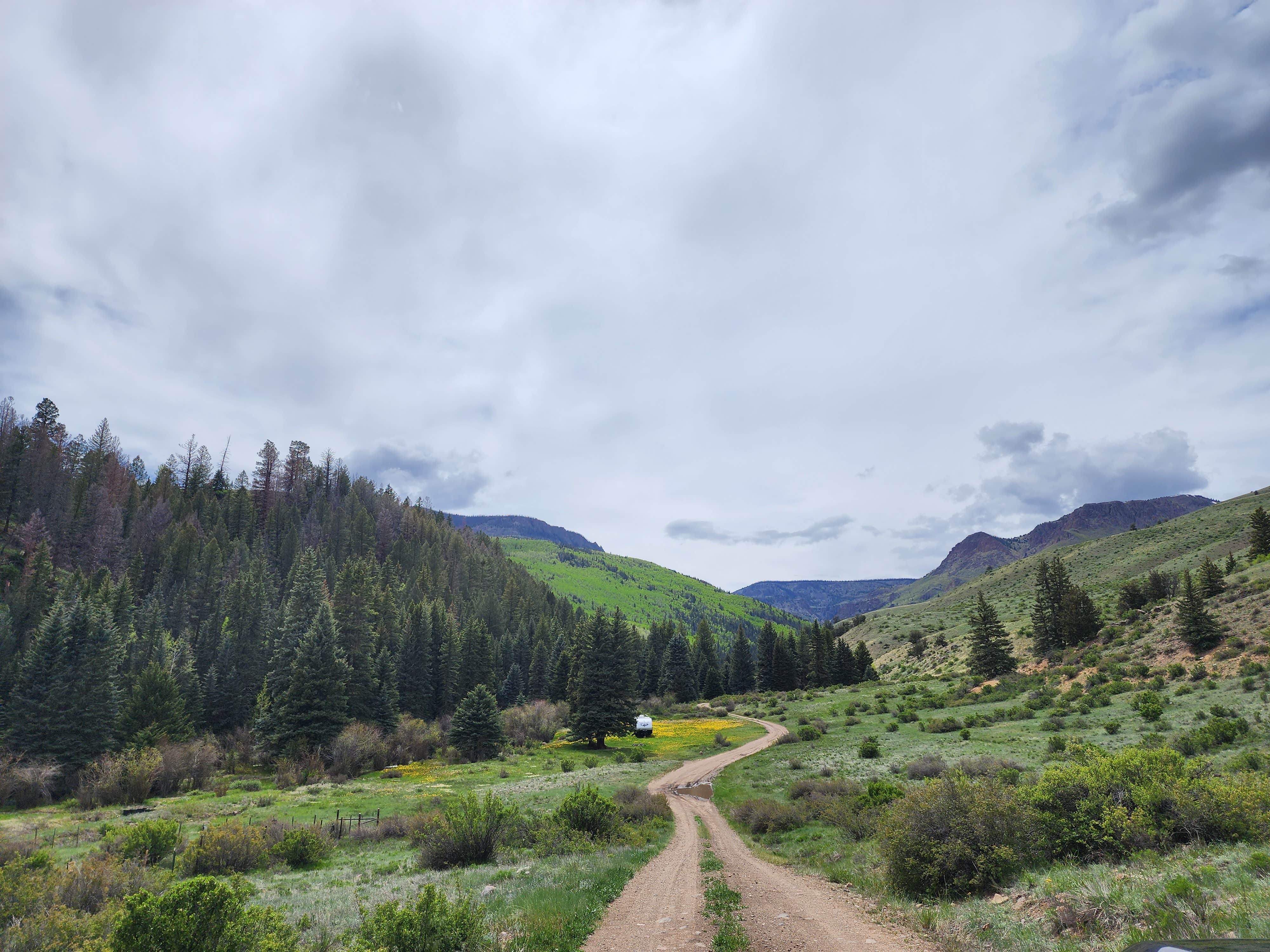 Camping near Marshall Park Campground: Shallow Creek, City of Creede, Colorado
