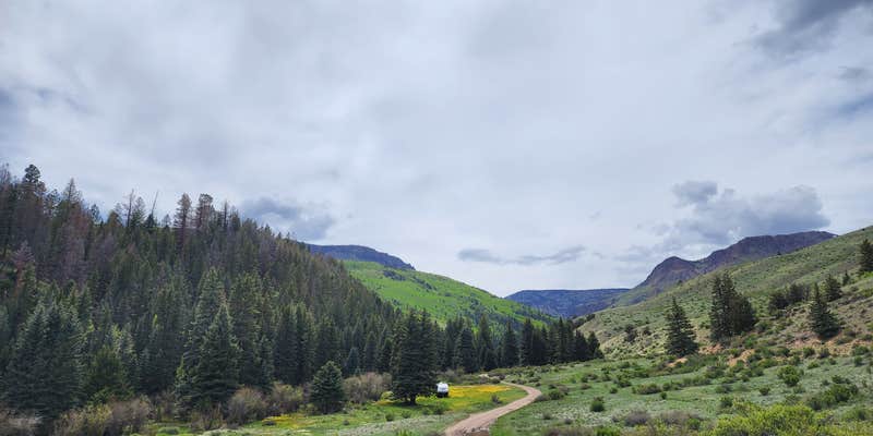 Camper submitted image from Shallow Creek