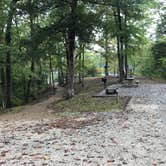 Review photo of Cub Lake Campground #1 — Natchez Trace State Park by Shana D., October 22, 2018