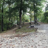 Review photo of Natchez Trace State Park by Shana D., October 22, 2018