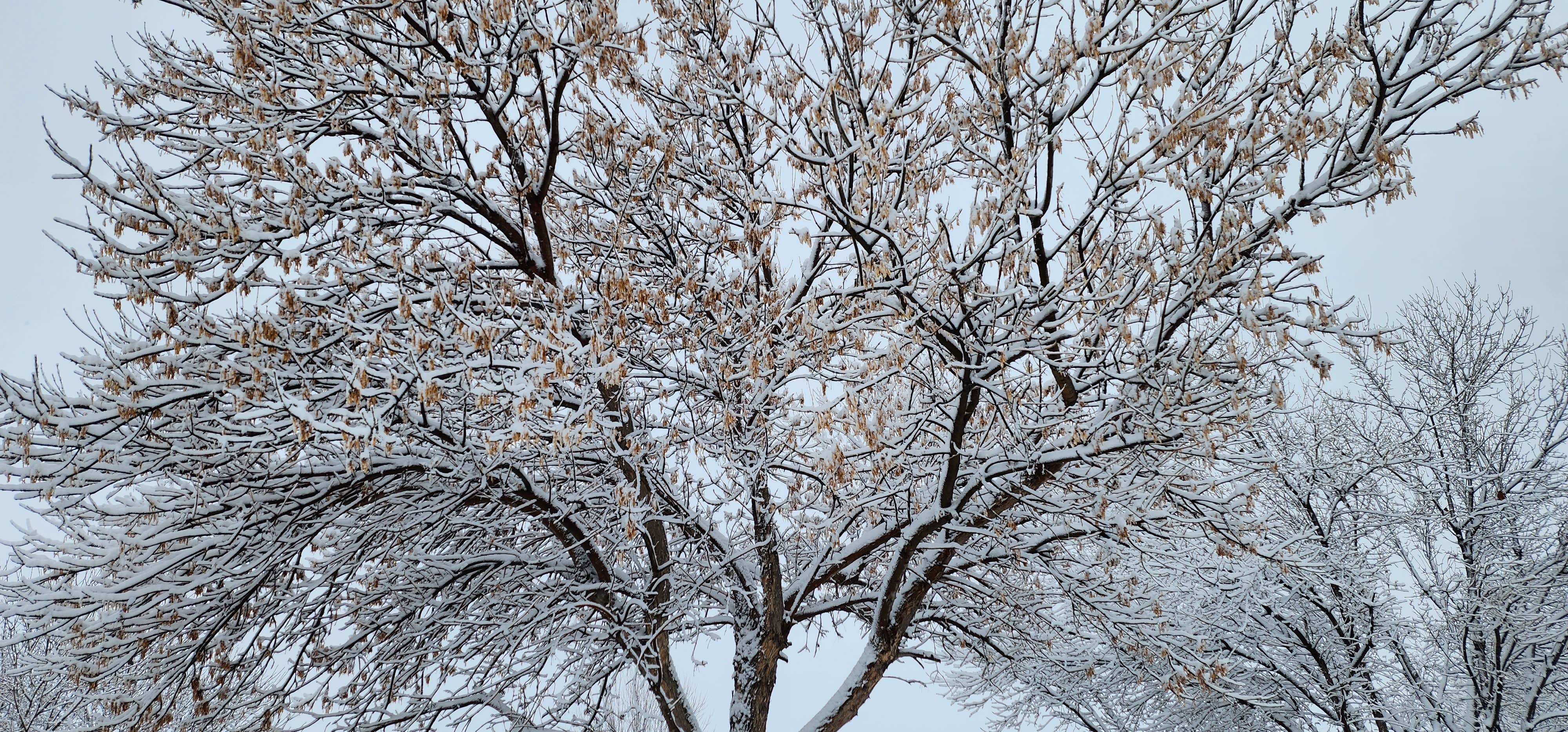 Camper-submitted photo at Country Corners Campground & RV Park near Star, ID