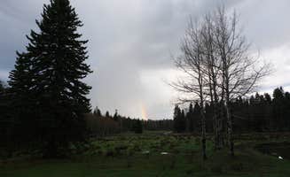PJ M.'s photo of a dispersed camping area at Rio Fernando de Taos - Forest Rd 5 near Arroyo Seco, NM