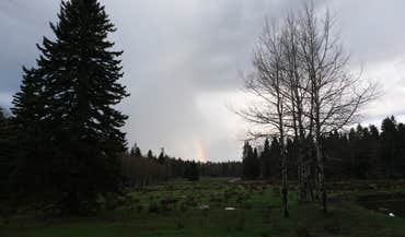 Angel Fire