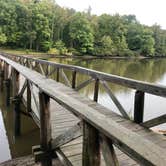 Review photo of Cub Lake Campground #1 — Natchez Trace State Park by Shana D., October 22, 2018