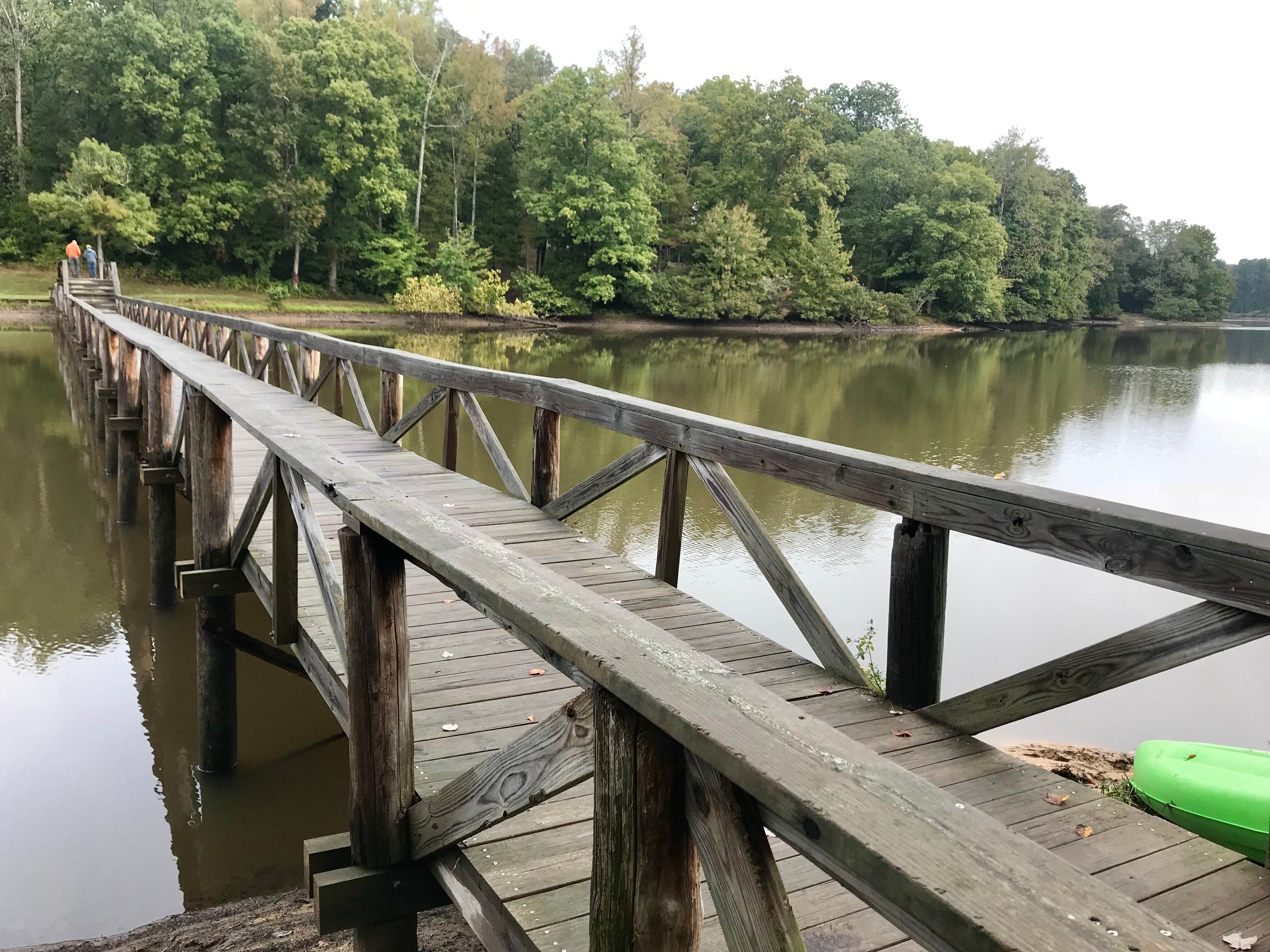 Camper submitted image from Cub Lake Campground #1 — Natchez Trace State Park - 4