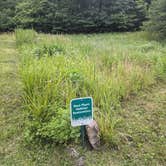 Review photo of Army Camp — New River Gorge National Park and Preserve by Kristi D., July 4, 2023