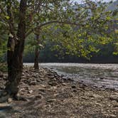 Review photo of Army Camp — New River Gorge National Park and Preserve by Kristi D., July 4, 2023