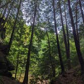 Review photo of Hocking Hills State Park Campground by Kristi D., July 4, 2023