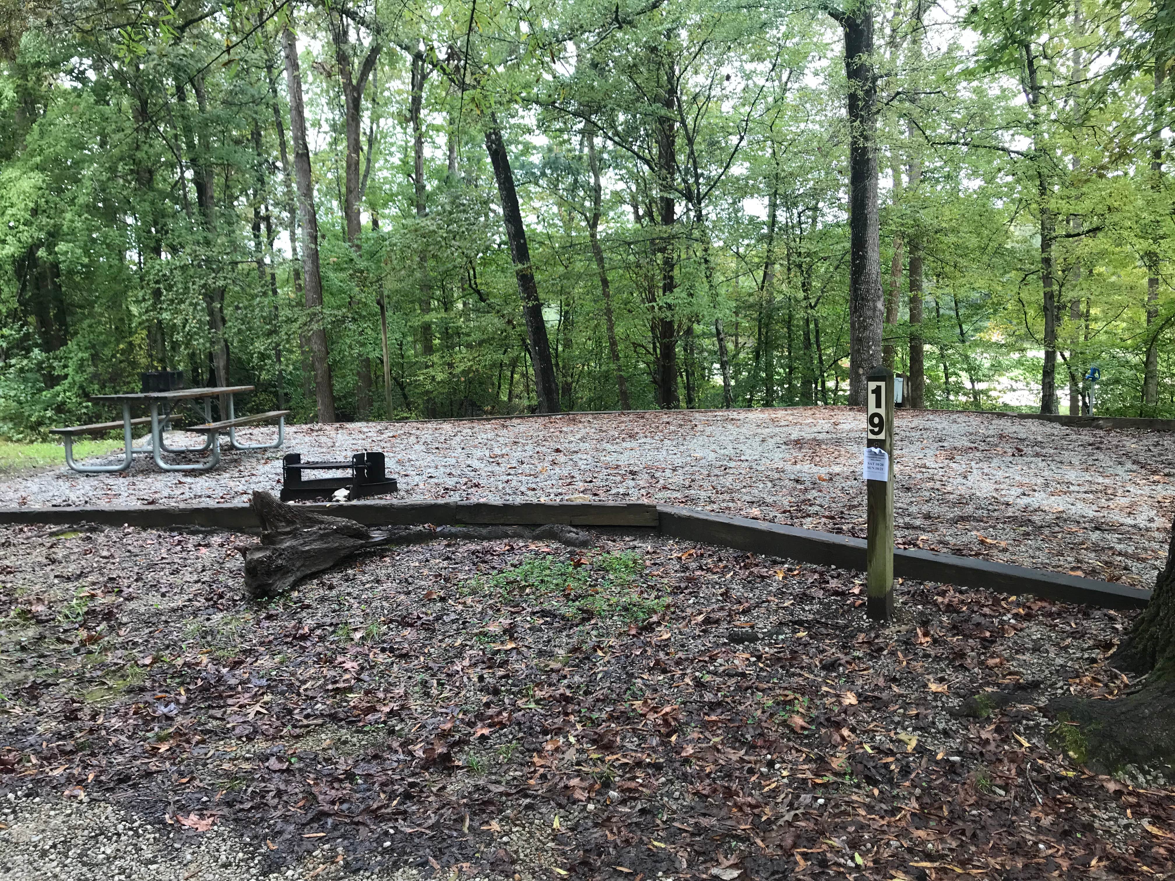 Camper submitted image from Cub Lake Campground #1 — Natchez Trace State Park - 3