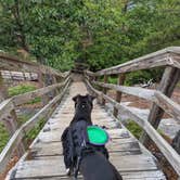 Review photo of Stone Mountain State Park Campground by Kristi D., July 4, 2023