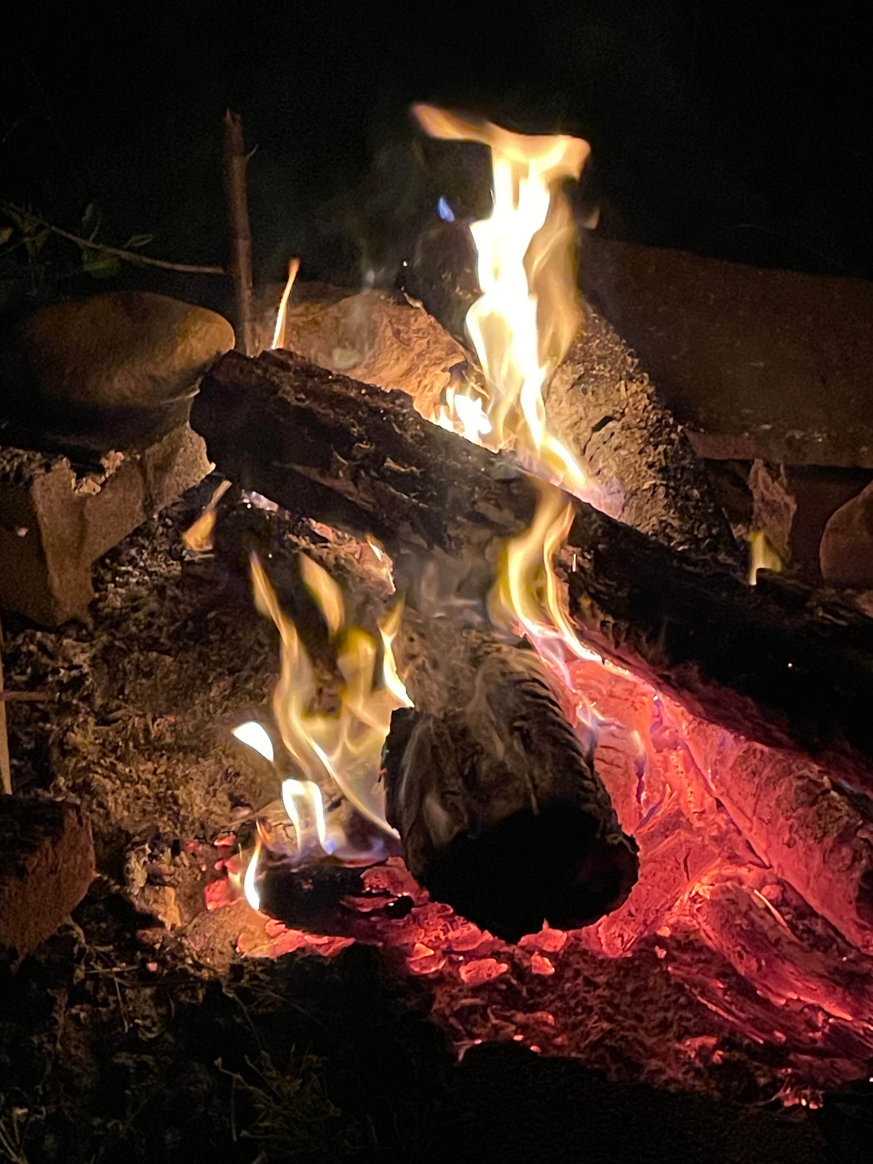 Camper submitted image from Hawk Nest Mushroom Farm - 3