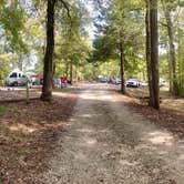 Review photo of Cub Lake Campground #1 — Natchez Trace State Park by Shana D., October 22, 2018
