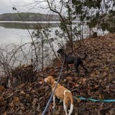 Review photo of Lake Glendale Recreation Area by Kristi D., July 5, 2023