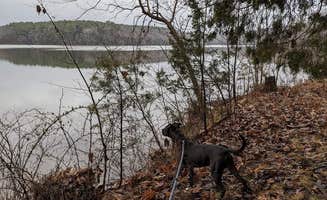 Kristi D.'s photo of camping with pets at Lake Glendale Recreation Area near Paducah, KY