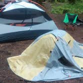 Review photo of Silver Springs Campground by Danielle S., August 21, 2016