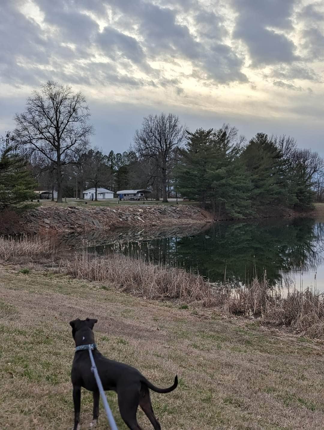 Kristi D.'s photo of camping with pets at Fern Lake Campground near Paducah, KY