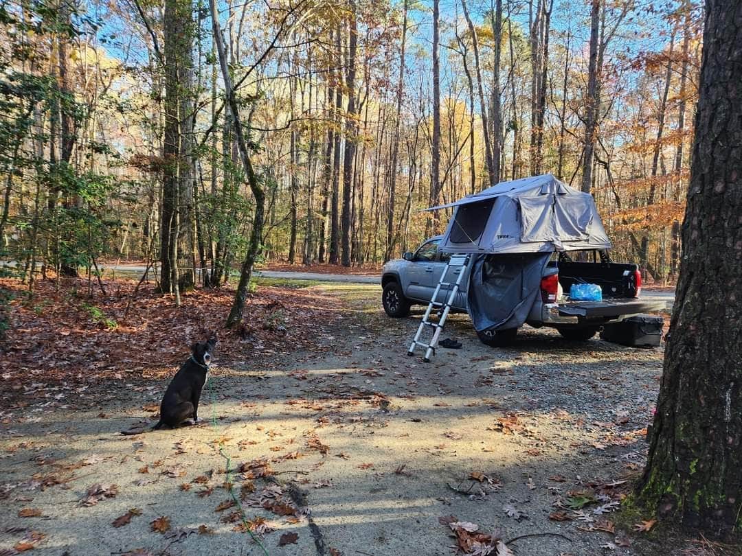 Camper-submitted photo at Family Campground — Merchants Millpond State Park near Creswell, NC