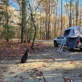 Review photo of Merchants Millpond State Park Campground by Kristi D., July 5, 2023