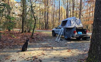 Kristi D.'s photo at Family Campground — Merchants Millpond State Park near Creswell, NC