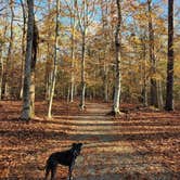 Review photo of Merchants Millpond State Park Campground by Kristi D., July 5, 2023