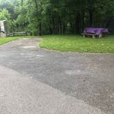 Review photo of Doughton Park Campground — Blue Ridge Parkway by Roger W., June 22, 2023