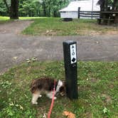 Review photo of Doughton Park Campground — Blue Ridge Parkway by Roger W., June 22, 2023