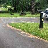 Review photo of Doughton Park Campground — Blue Ridge Parkway by Roger W., June 22, 2023