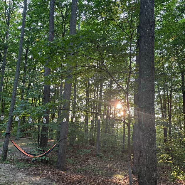 ChainOLakes Campground Bellaire, MI