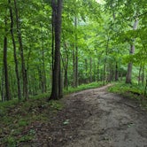 Review photo of Wildcat Mountain State Park Campground by Kristi D., July 5, 2023