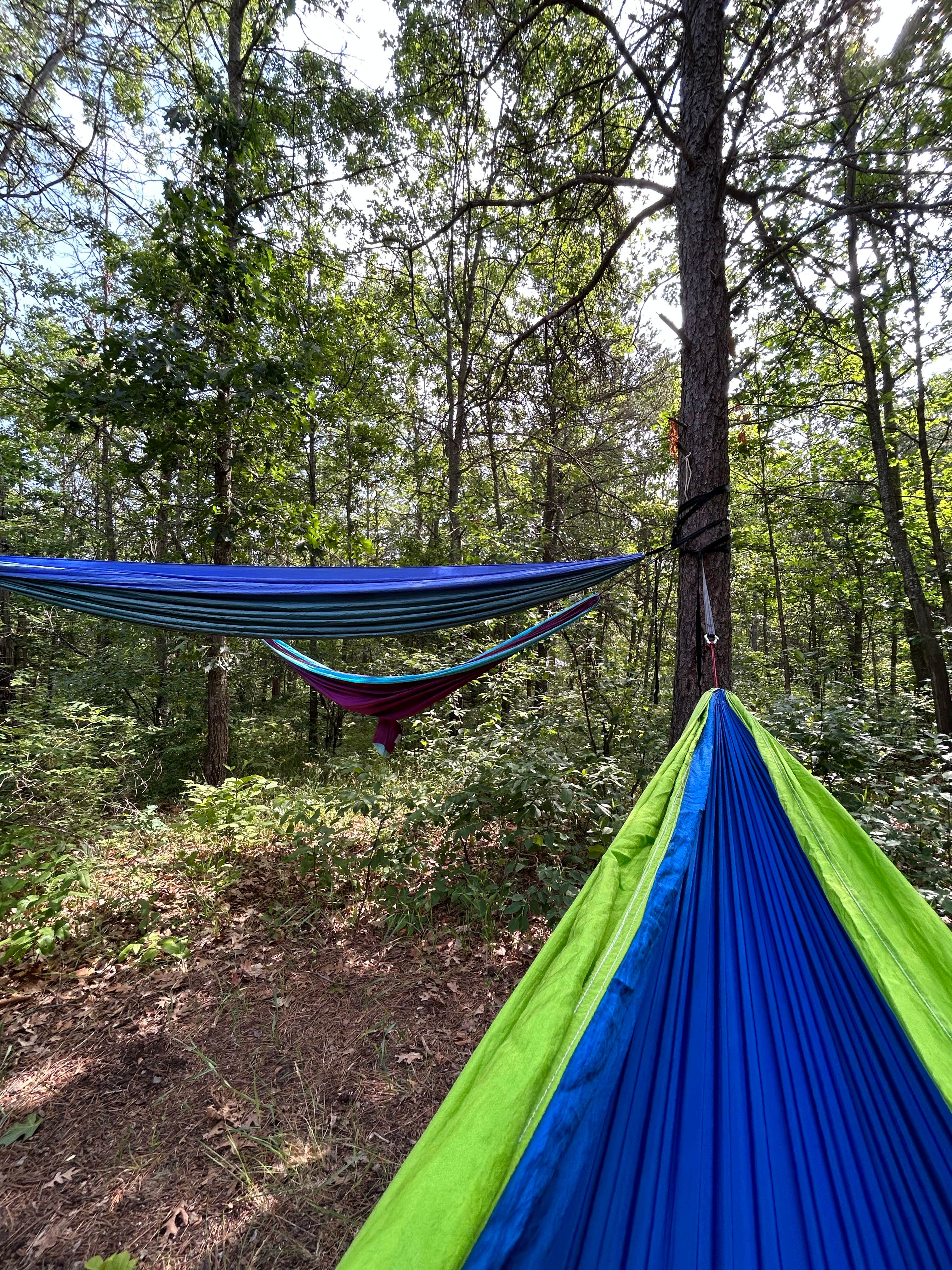 Camper submitted image from Clear Lake State Park Campground - 4