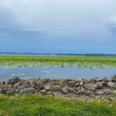 Review photo of Thomson Causeway by Corinne P., July 5, 2023