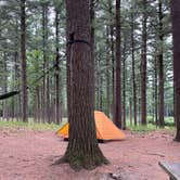 Review photo of Pinewoods Campground — Kettle Moraine State Forest-Southern Unit by Darcy M., July 5, 2023