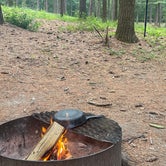 Review photo of Pinewoods Campground — Kettle Moraine State Forest-Southern Unit by Darcy M., July 5, 2023
