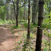 Review photo of Pinewoods Campground — Kettle Moraine State Forest-Southern Unit by Darcy M., July 5, 2023