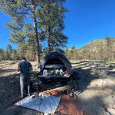 Review photo of Coconino Forest Road 9125F by Lara S., July 5, 2023