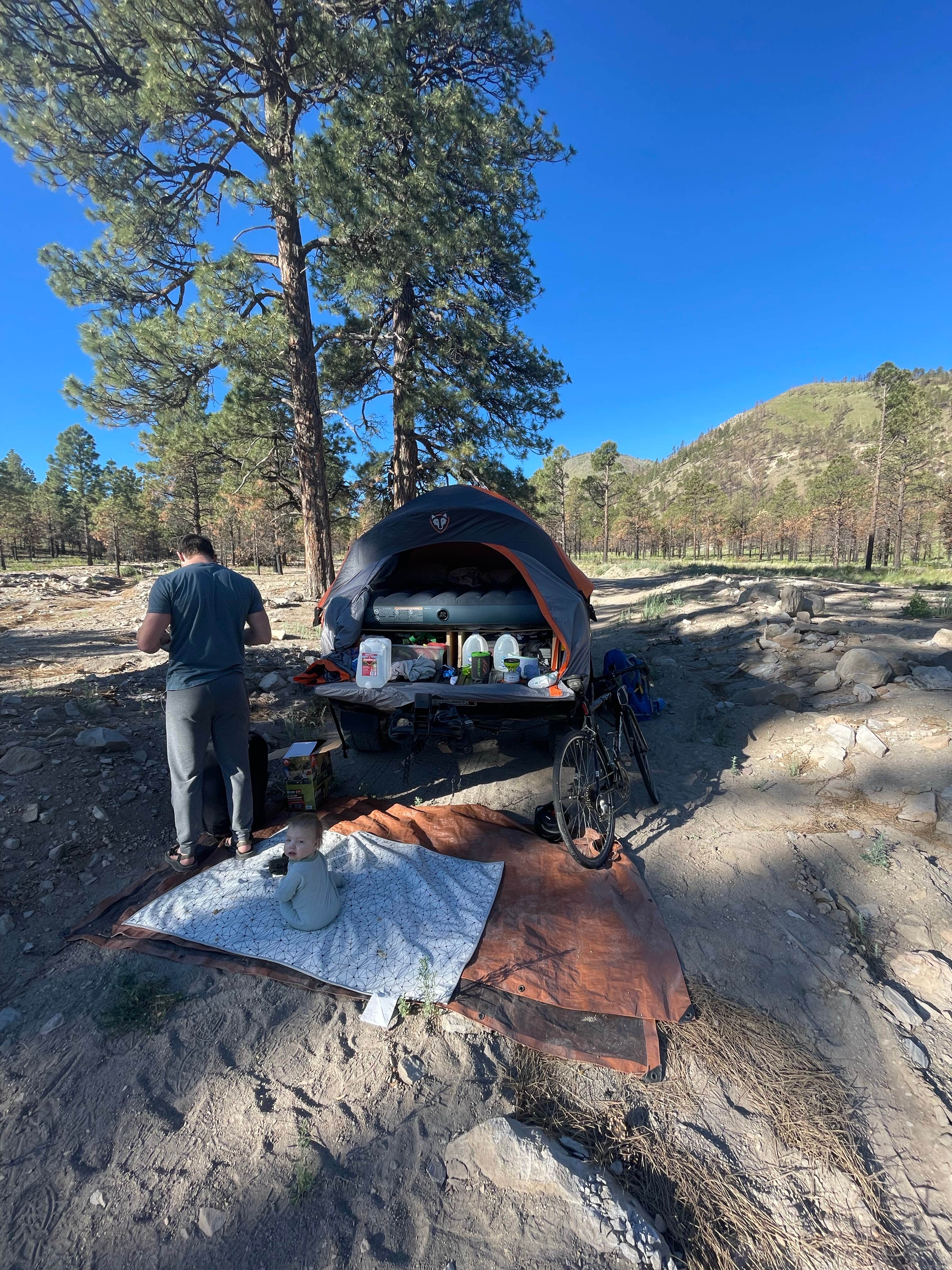 Camper submitted image from Coconino Forest Road 9125F - 2