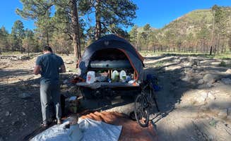 Lara S.'s photo at Coconino Forest Road 9125F near Gray Mountain, AZ